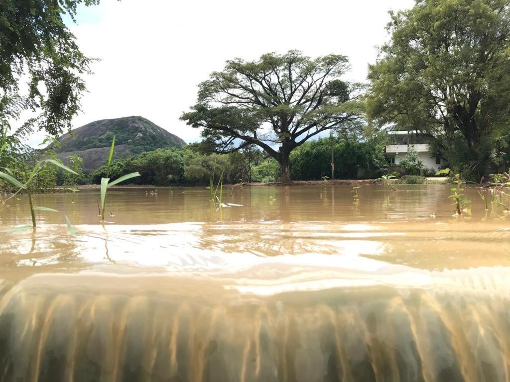 Lake View דמבולה מראה חיצוני תמונה