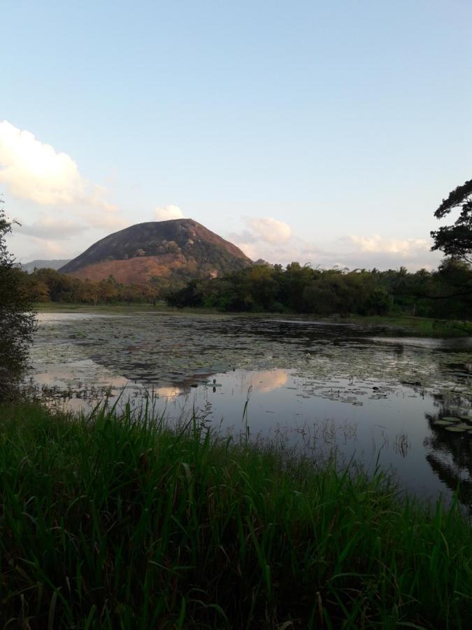 Lake View דמבולה מראה חיצוני תמונה